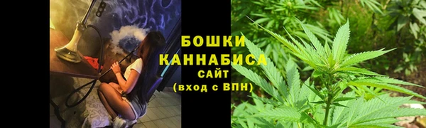 трава Балахна