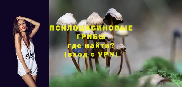 гидра Баксан