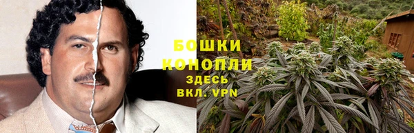 гидра Баксан