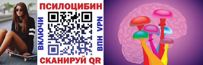 Купить  Краснозаводск  Псилоцибиновые грибы Psilocybe 